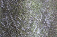 Lisson Grove fibreglass roof work